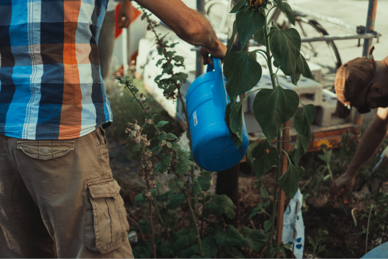 Hombre trabajando en el campo