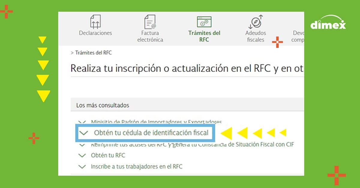 Obtén tu cédula identificación físcal