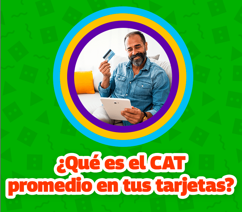 que es el cat promedio