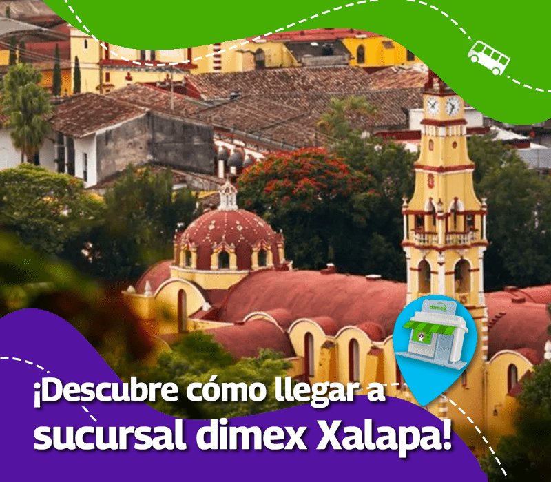 dimex xalapa