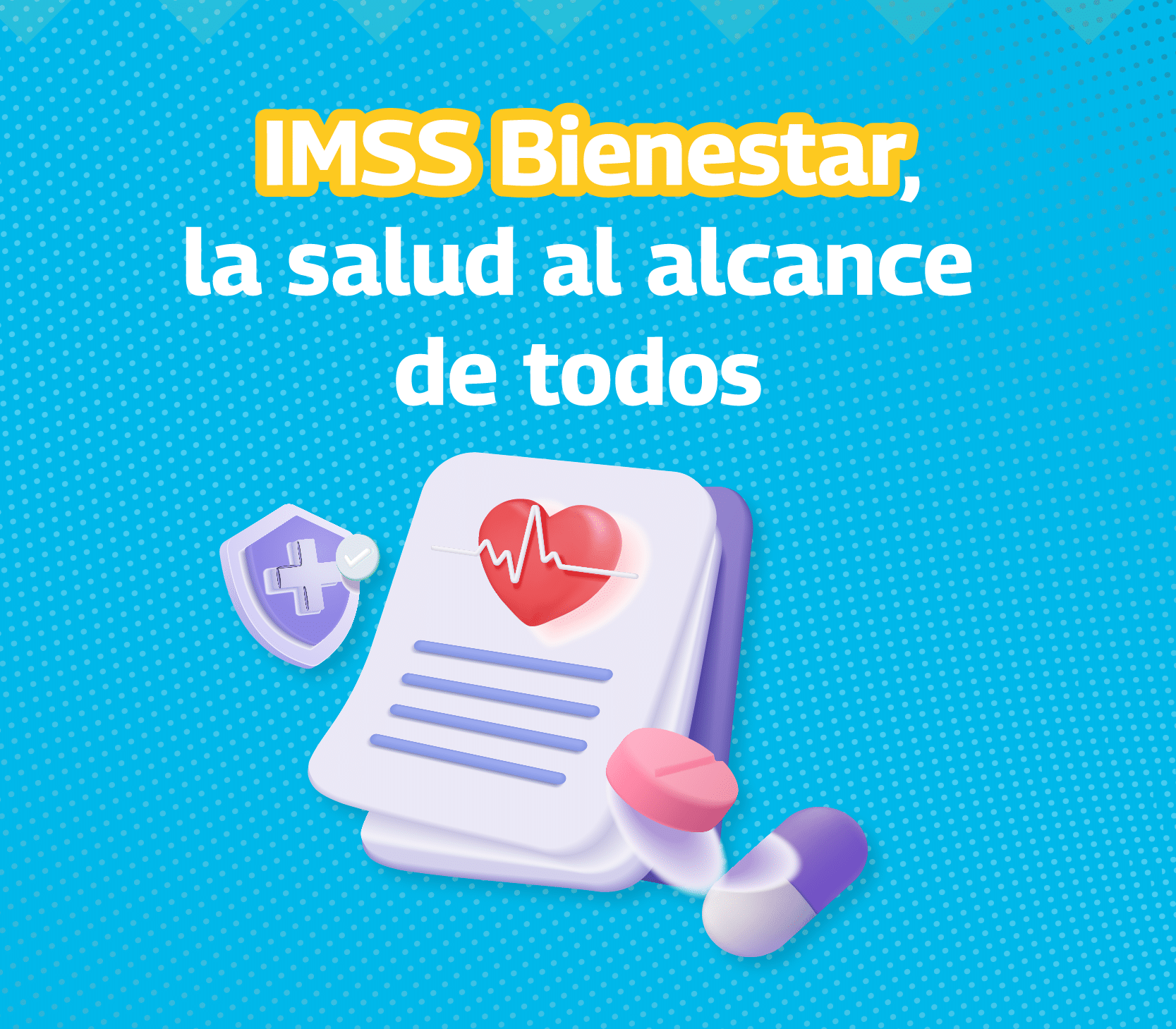 imss bienestar