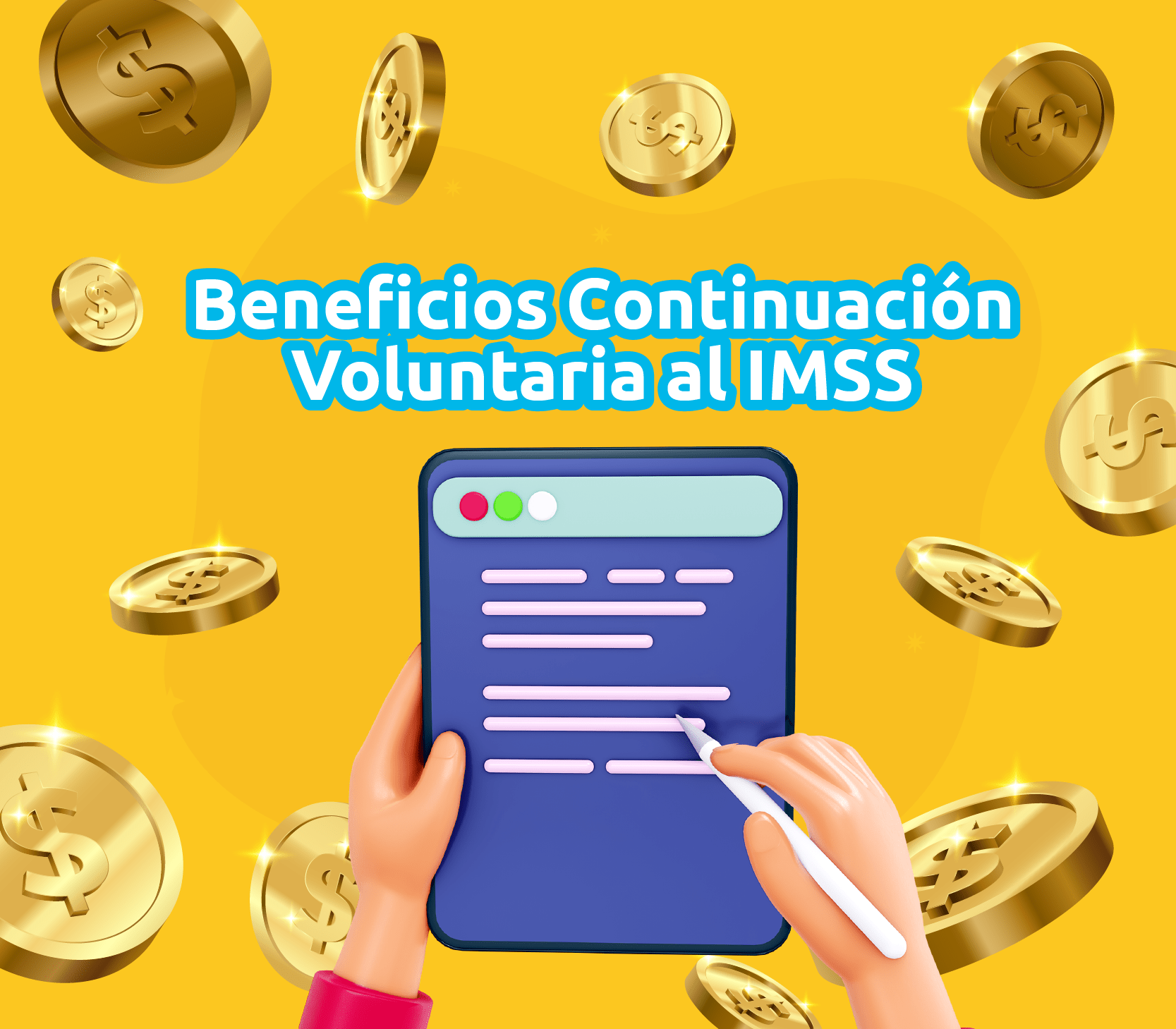 continuacion voluntaria imss