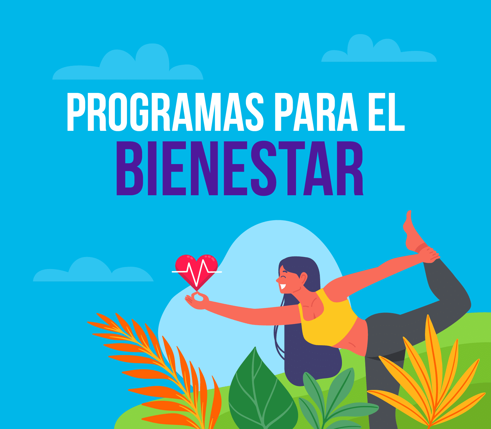 programas para el bienestar