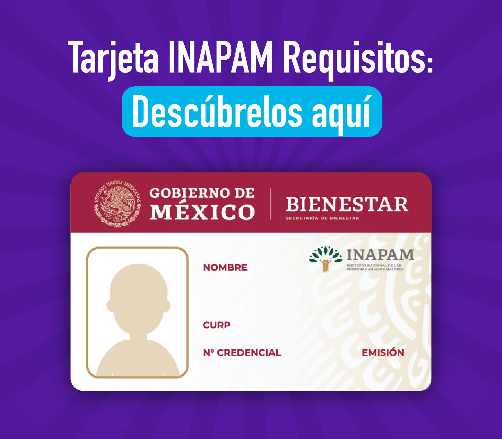 Requisitos tarjeta INAPAM