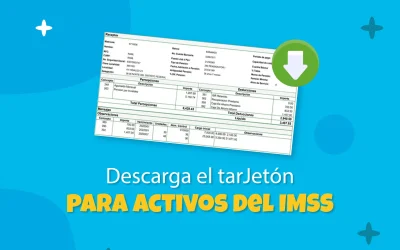Tarjetón activos IMSS, ¿para qué sirve y cómo tramitarlo?
