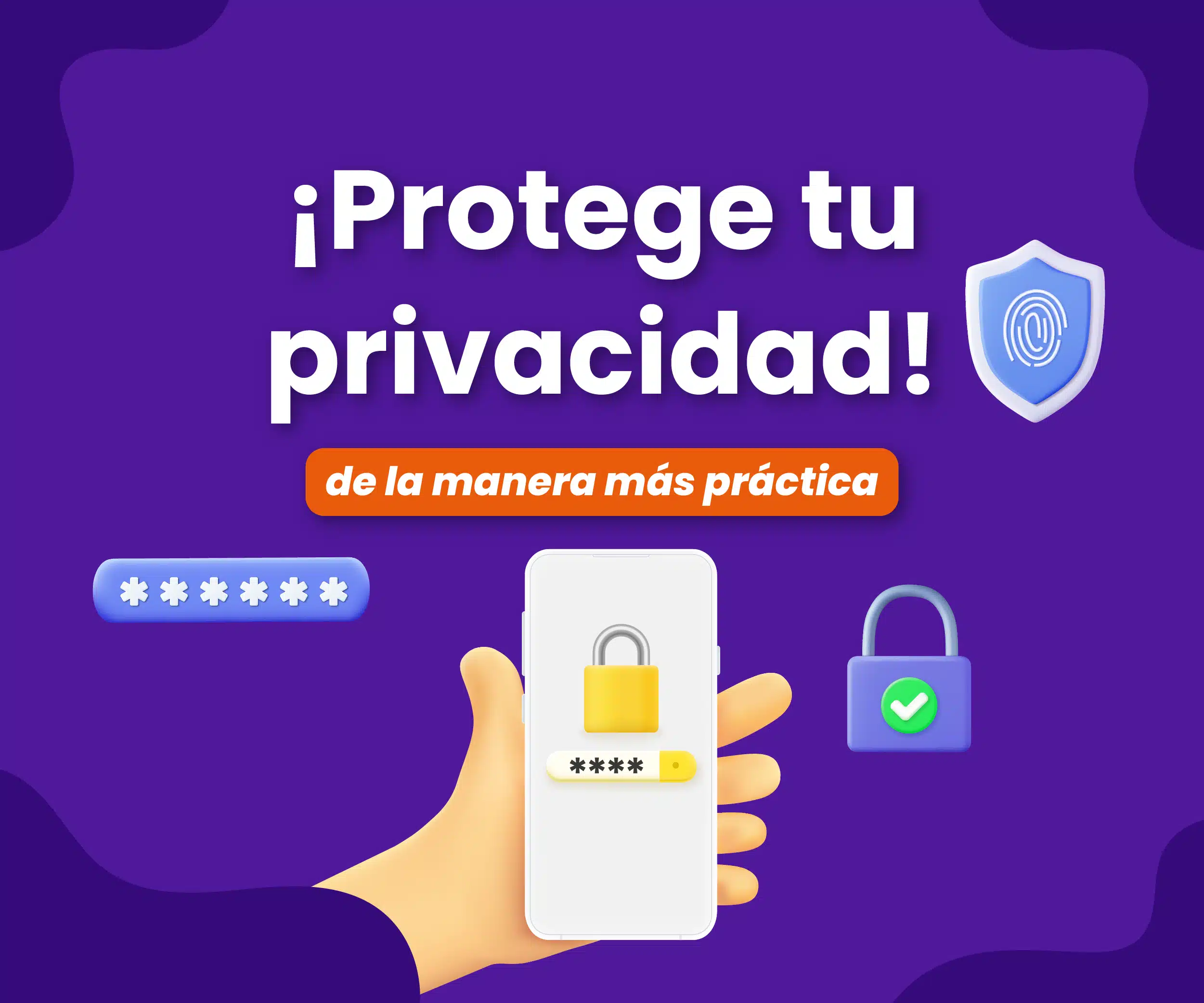 protege tu privacidad en línea