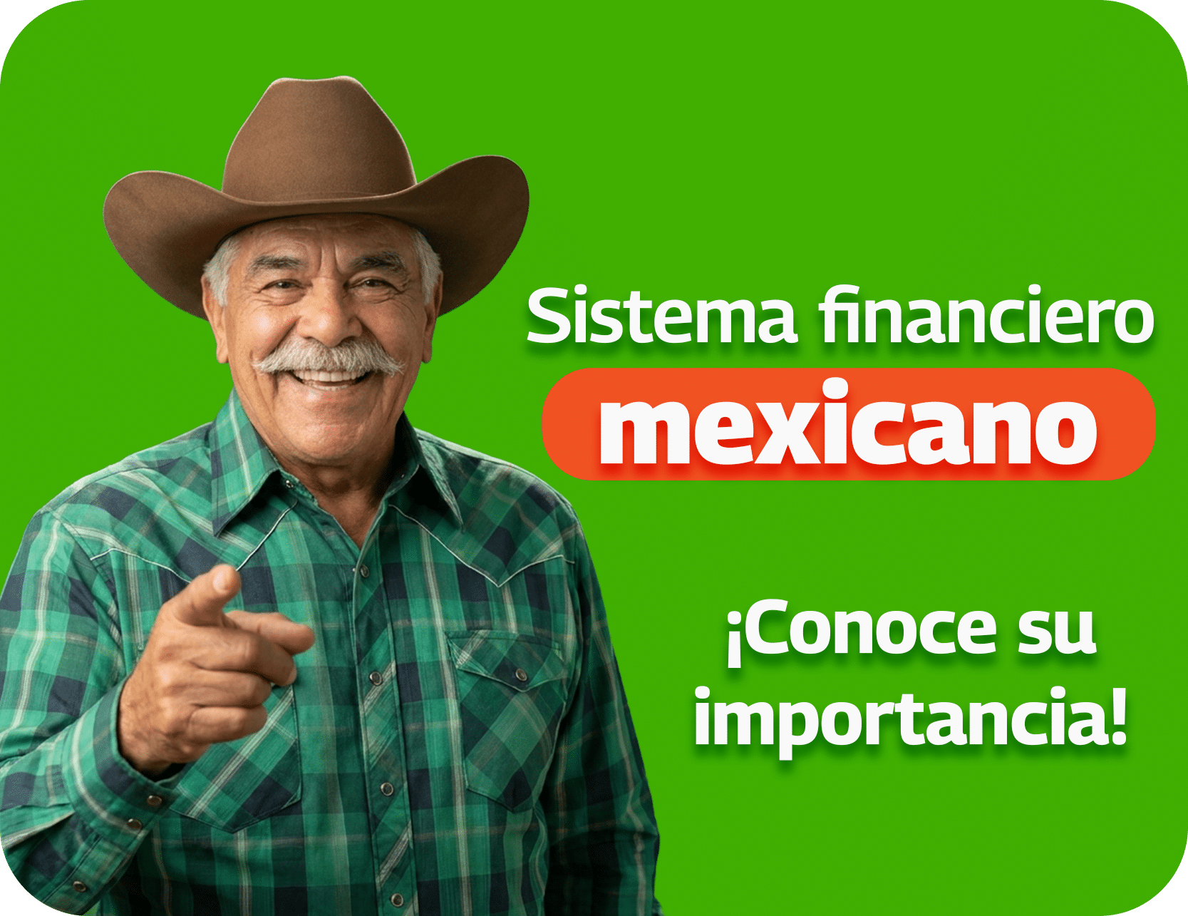 Sistema financiero mexicano Sistema financiero mexicano. La base de tu dinero.
